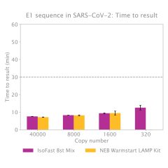 IsoFast® Bst 1-Step Mix