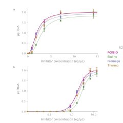 RiboShield™ RNase Inhibitor