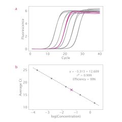 NGSBIO Library Quant Kit Blue for Illumina-NGSBIO