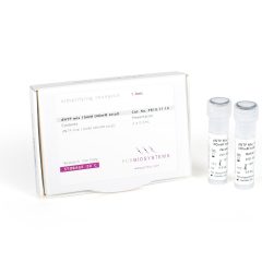 PCRBIO dNTP Mix PB10.71-10