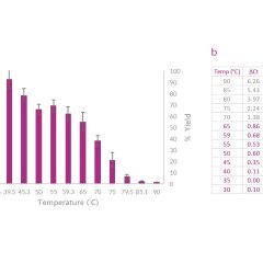 cDNA Synthesis