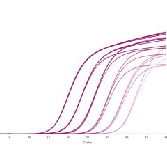 qPCRBIO Probe 1-Step Go