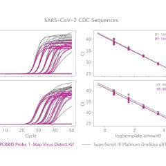 qPCRBIO Probe 1-Step Virus Detect