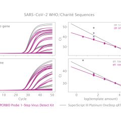 qPCRBIO Probe 1-Step Virus Detect