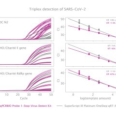 qPCRBIO Probe 1-Step Virus Detect
