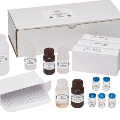Glyphosate, Magnetic Particle ELISA, 120 tests