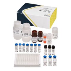 Glyphosate ELISA Plate and Derivatization Kit, 96-test