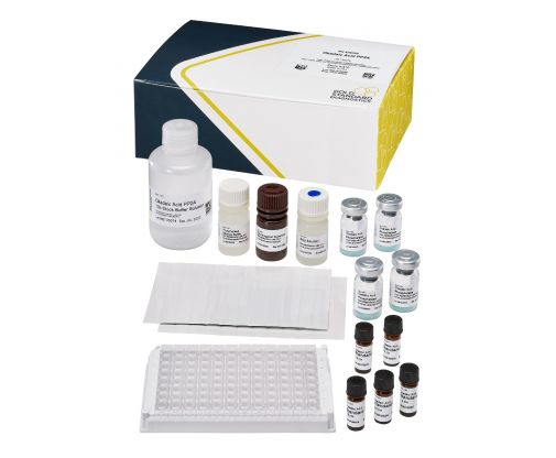 520025-okadaic-pp2a_gsd