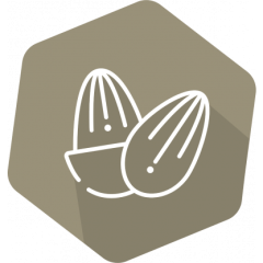 SENSISpec Spike Solution Almond