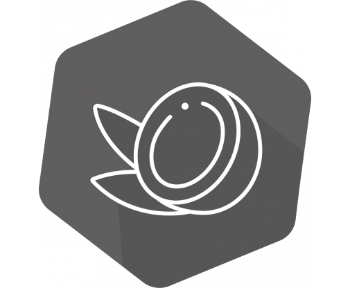 cococnut_icon