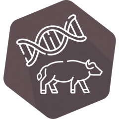 DNAnimal Ident Water Buffalo IPC (LR)