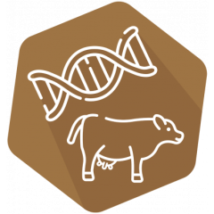 DNAnimal Screen Ruminant IPC