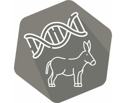 dna_donkey_icon