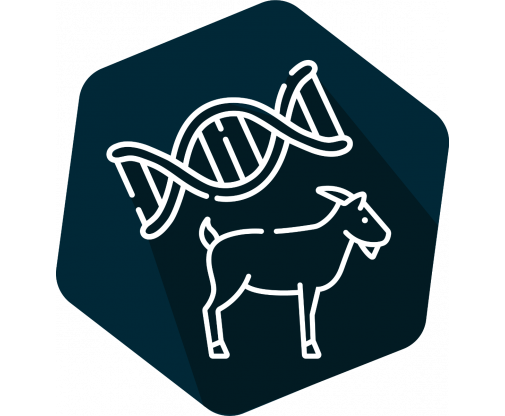 dna_goat_icon