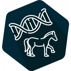 DNAnimal Ident Horse IPC (LR)