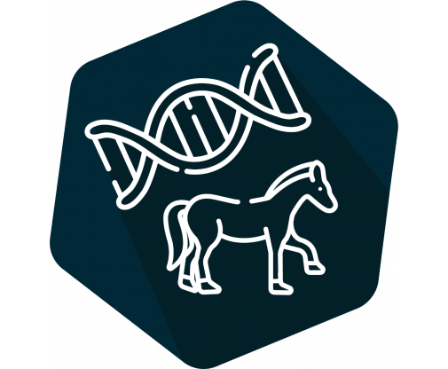 dna_horse_icon