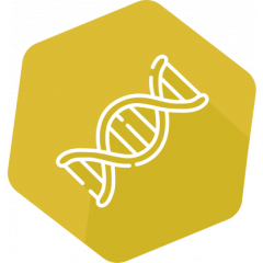 DNAnimal Screen Mammal & Bird IPC