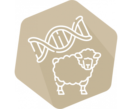 dna_sheep_icon