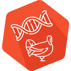 DNAnimal Ident Turkey IPC