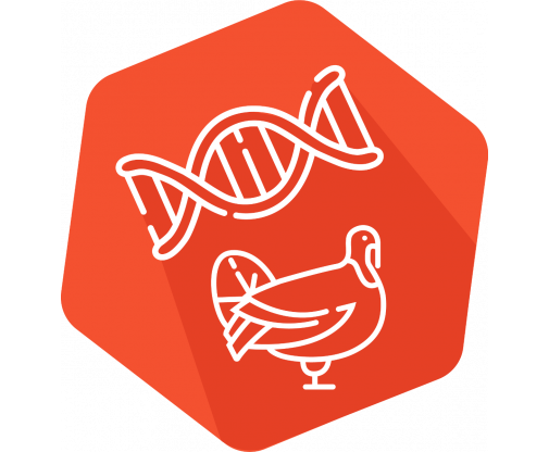dna_turkey_icon