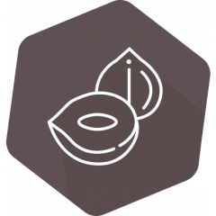 SENSISpec Spike Solution Hazelnut