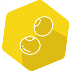 SENSISpec Spike Solution Lupin