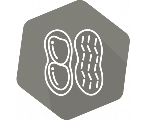 peanut_icon
