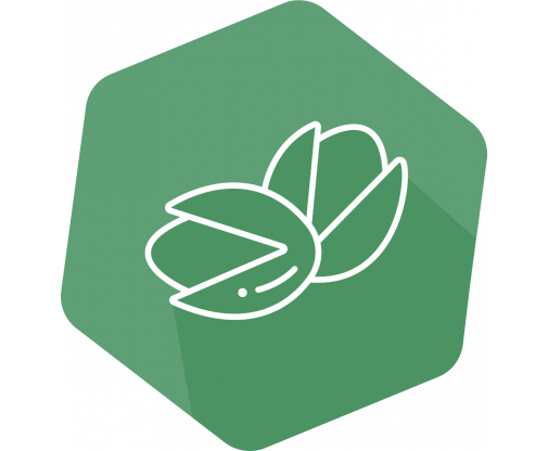 pistachio_icon