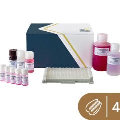 SENSISpec ELISA Pecan nut 48 wells