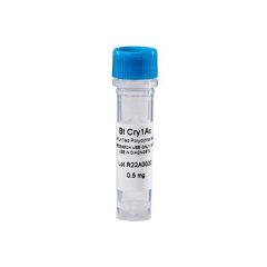 Antibody, Anti-Cry 1Ac, polyclonal (rabbit), 0.5 mg