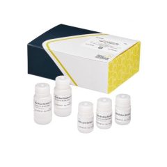 AbraMag Genomic DNA Magnetic Purification Kit, 100-test