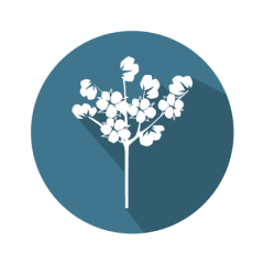 GMOIdent RT IPC (LR) Event 3006-210-23 Cotton