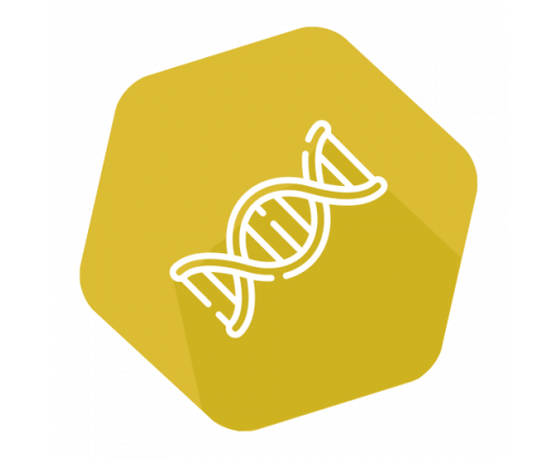 dna_icon_gold_v2