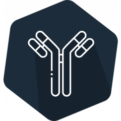 Celer AFLA HS, ELISA, 192 det.