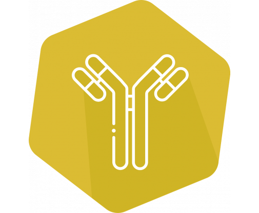 elisa_icon_gold_bzero_17