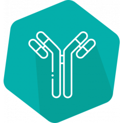 I'screen AFLA M1 milk, ELISA, 192 det.