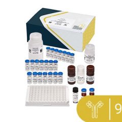 Patulin ELISA 96-test kit