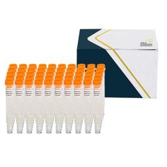 SENSIColumn IAC Fumonisins