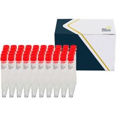 SENSIColumn IAC Aflatoxin Total