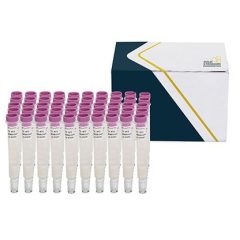 SENSIColumn IAC T2/HT2