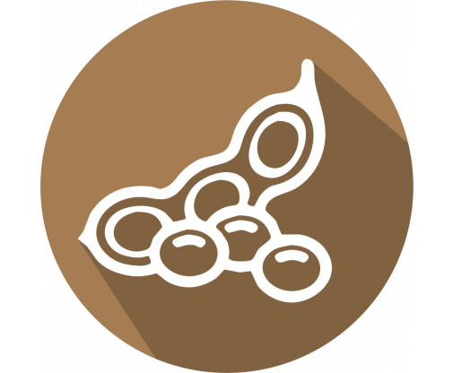 soy_light_brown_1_18