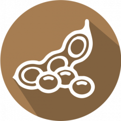 GMOIdent RT IPC (LR) DAS-44406-6/DAS-81419-2/DAS-68416-4 Soy